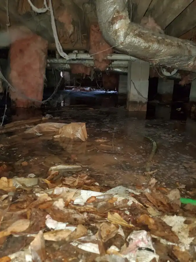 Crawl space flood assessment for Leak Detection & Repair in Crestline