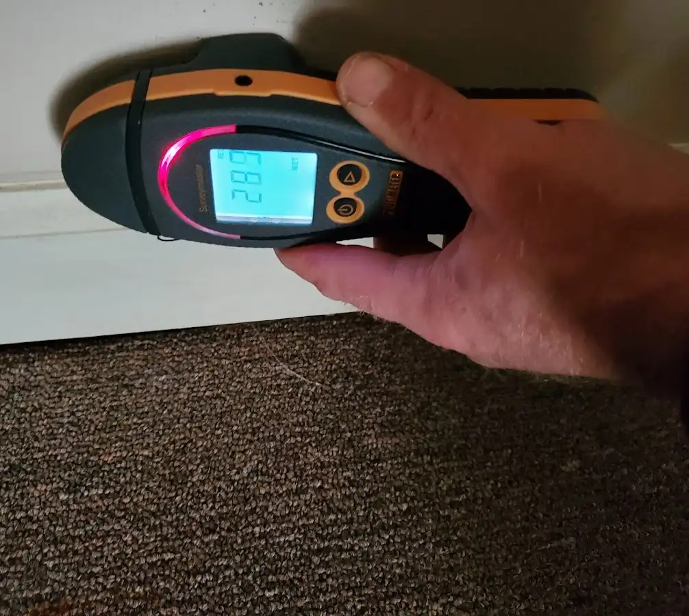 Moisture detection at baseboard during Mold Inspection & Testing in Crestline
